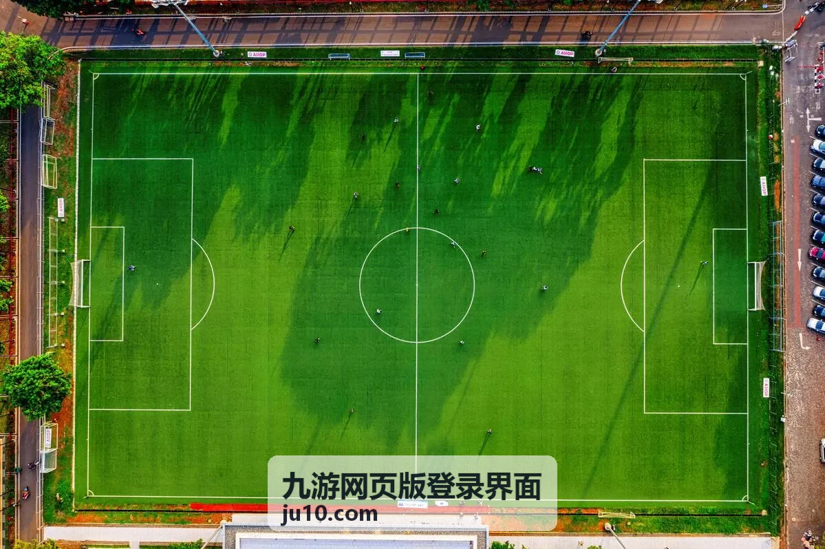 九游网页版登录界面验证码说明配图